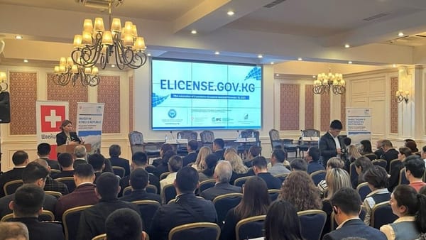 В Кыргызстане разрабатывают базу данных для быстрого получения лицензий изображение публикации