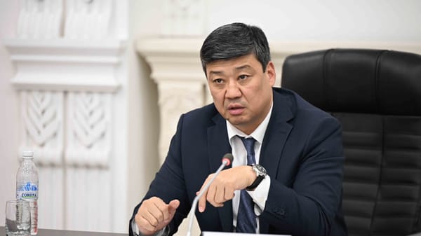 Бакыт Торобаев обеспокоен недостатком информации о цифровых госуслугах в регионах изображение публикации