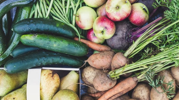 В ЖК обсудили проект закона о биологической безопасности изображение публикации