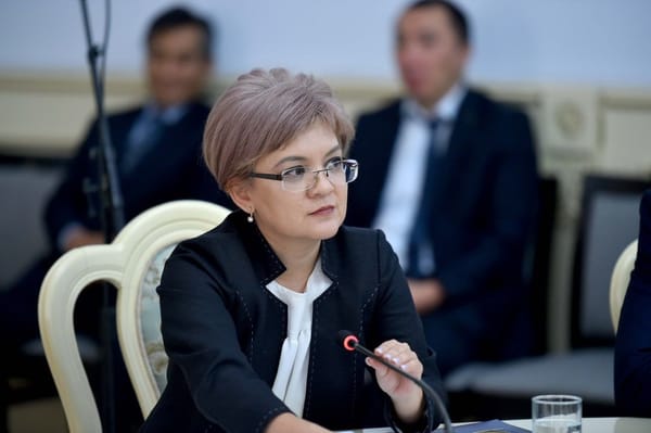 О цифровой трансформации и проекте "Digital CASA-КР" – интервью с министром цифрового развития Нурией Кутнаевой изображение публикации