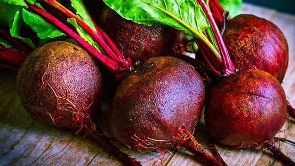 В текущем году свеклой засеяли на 45.3% больше, чем в 2022-м изображение публикации