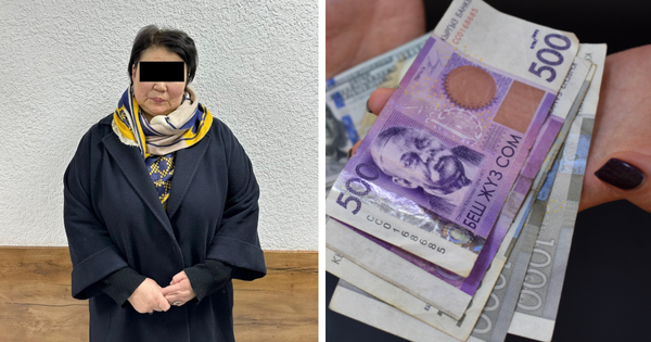 В Таласской области завотделом образования присвоила 11 млн сомов изображение публикации