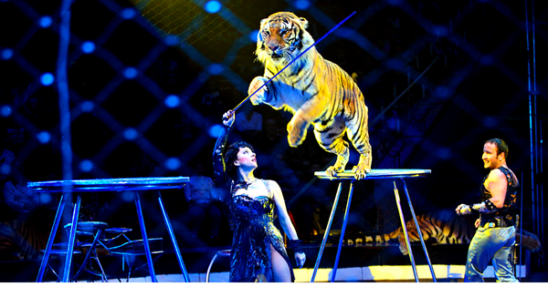 Московский цирк пожаловался в Минкультуры — вместо артистов из РФ в Бишкеке выступили местные изображение публикации