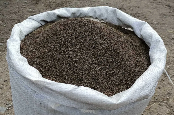 В Кыргызстан из Казахстана пытались ввезти 22 тонны семян люцерны — груз вернули отправителю изображение публикации