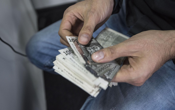 По следам Павлика Морозова. Депутат предлагает платить тем, кто сообщает о нарушениях ПДД изображение публикации