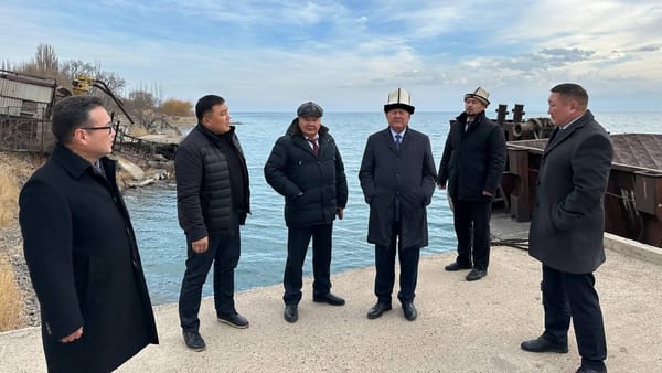 Каким компаниям выделили земли на Иссык-Куле под солнечные электростанции? Ответ Минэнерго изображение публикации