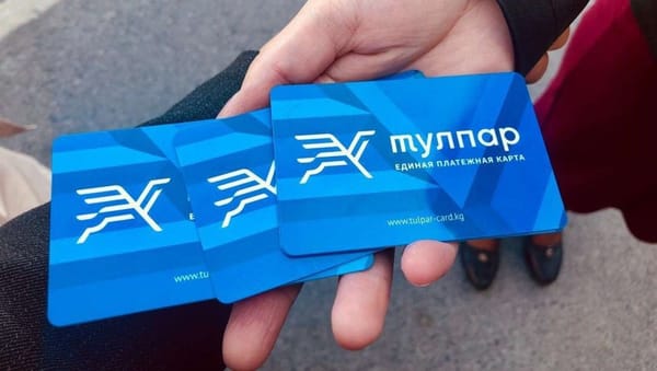 Мэрия Бишкека разделила «Тулпар» поровну с подрядчиком изображение публикации