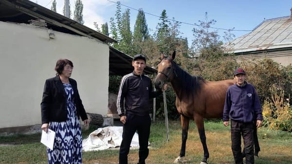 Кабмин в 2024 году потратит на соцконтракты 2 млрд сомов изображение публикации