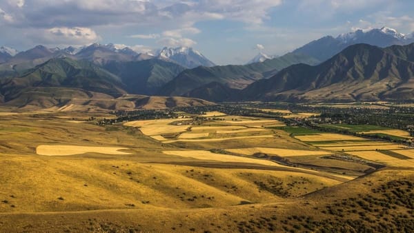 Кабмин выделил землю под строительство швейной фабрики изображение публикации