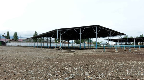 В Кара-Балте закрыли скотный рынок "Эркин" изображение публикации