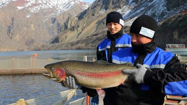 Колбаса, рыба, мед – сколько продукции Кыргызстан экспортировал в прошлом году? изображение публикации