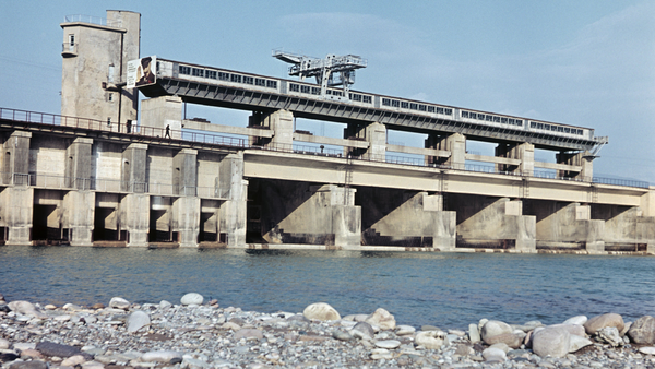 Из-за ГЭС в бассейне Амударьи могут исчезнуть краснокнижные виды рыб изображение публикации