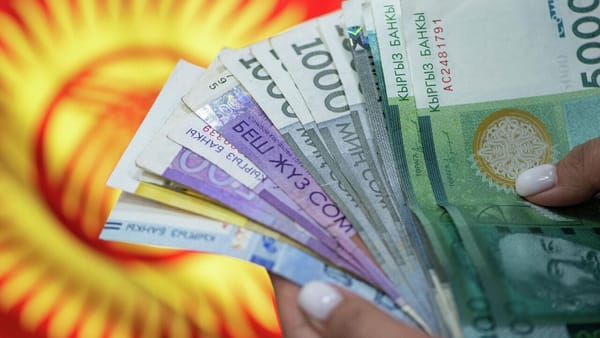 На выплату госдолга в следующем году направят 66 млрд сомов изображение публикации