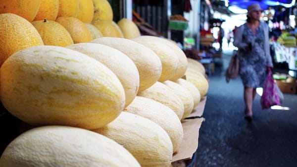 Кыргызстан экспортировал дыни в Китай на 1.2 млн сомов изображение публикации