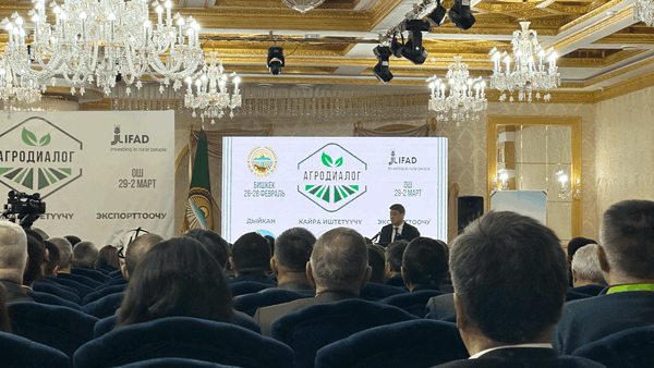 В 2025 году кредитная программа «ФСХ» будет закрыта – Бакыт Торобаев изображение публикации