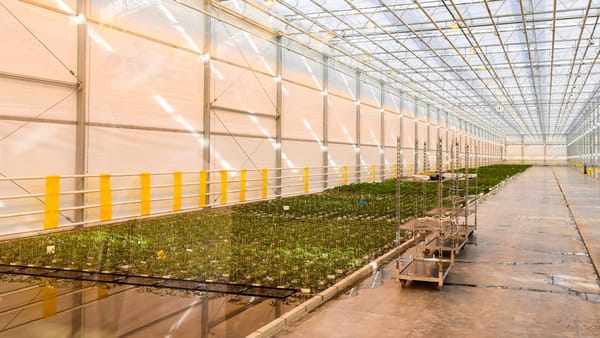 В Казахстане построят громадный комплекс по производству удобрений изображение публикации