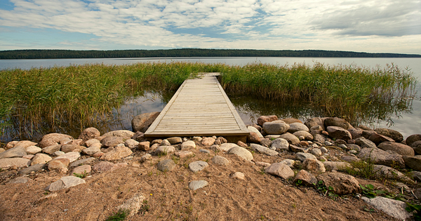 Сотрудник Тамгинского айыл окмоту незаконно сдавал в аренду участки на берегу озера изображение публикации