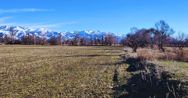Неосвоенные государственные земли в КР будут отдавать сельхозкооперативам изображение публикации