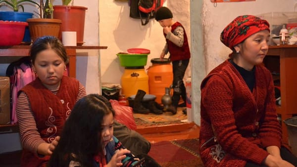 Участники соцконтракта в сфере животноводства должны вступить в объединения – Минсоцтруда изображение публикации