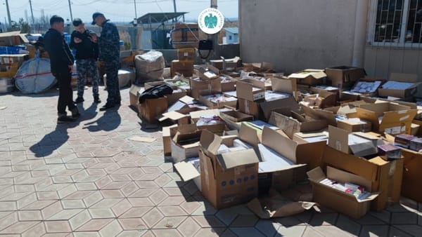В Кыргызстан пытались незаконно ввезти лекарства, ткани и рыболовные снасти изображение публикации