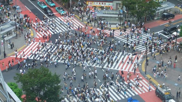 Главе кабмина показали план Бишкека будущего – в нем умные парковки, велодорожки и диагональные пешеходные переходы изображение публикации