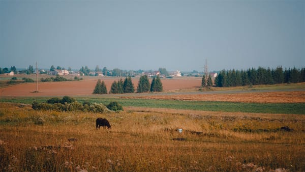 В Новопокровке возвращены в госсобственность 17.8 гектара ценных земель стоимостью 34 млн сомов изображение публикации