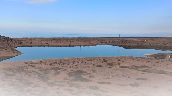 В Тонском районе незаконно приватизировали землю стоимостью 41 млн сомов — участок вернули государству изображение публикации