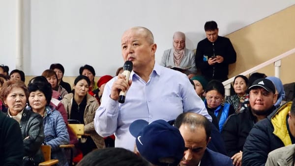 Ирригация, транспорт, детсады, скот — на что еще пожаловались депутату Сурабалдиевой бишкекчане изображение публикации