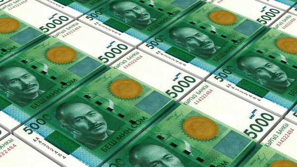 За три месяца «Гарантийный фонд» предоставил бизнесу гарантии на 385.6 млн сомов изображение публикации