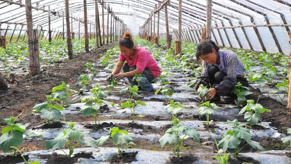 Всемирный банк выделит $35 млн на развитие агропродовольственных кластеров в КР изображение публикации