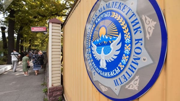 В КР задержана иностранка, которую разыскивал Интерпол – она занималась незаконной миграцией изображение публикации