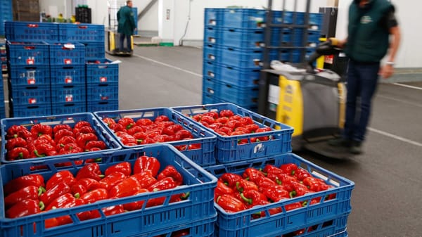 Министр экономики КР обозначил задачи недавно созданного центра «Кыргыз Экспорт» изображение публикации