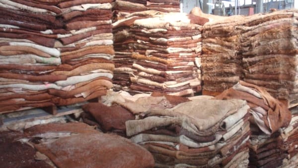 Из КР незаконно вывезли шкуры крупного рогатого скота – ущерб бюджету составил почти 850 тысяч сомов изображение публикации