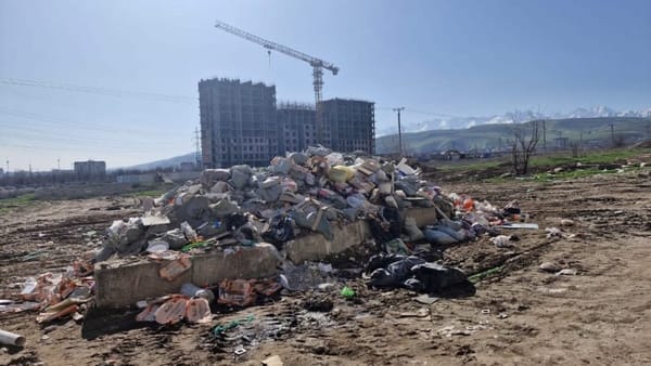 В Бишкеке пять стройкомпаний оштрафовали на 103 тысячи сомов изображение публикации