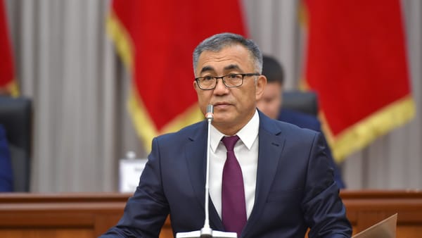 Экс-замглавы администрации президента будет представлять КР в Экономическом совете СНГ изображение публикации