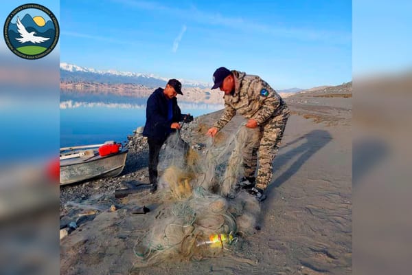 Из Токтогульского водохранилища вытащили 1000 метров браконьерских сетей изображение публикации