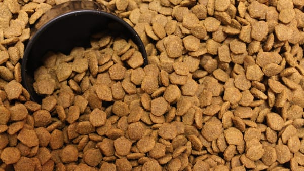 За три года отечественный завод экспортировал в США, Канаду и Турцию 180 тонн сухих кормов для животных изображение публикации