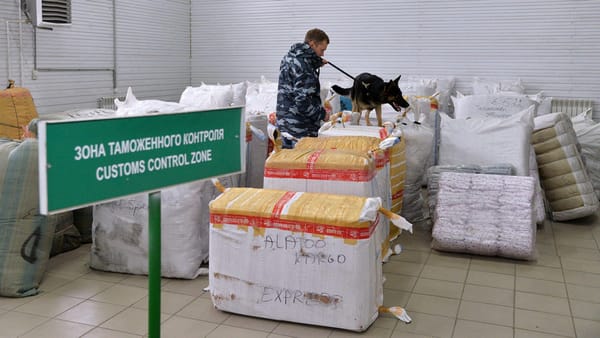 В Кыргызстане предлагают ужесточить наказание за контрабанду изображение публикации