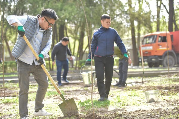 Минфин, МИД и Таможенная служба – Мэрия Бишкека назвала организации, которые дважды проигнорировали субботник изображение публикации