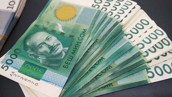 В Кеминском районе выявили финансовые нарушения на 52.5 млн сомов изображение публикации