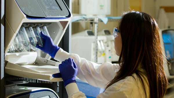 В КР пройдет Вторая национальная юношеская научная олимпиада с использованием ИИ изображение публикации