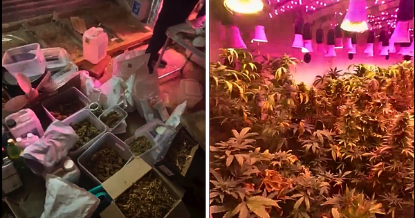 В Бишкеке ликвидировали три нарколаборатории – в них хранились запрещенные вещества на 50 млн сомов изображение публикации