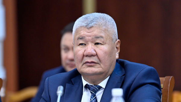 «Отрасль нуждается в поддержке». Глава Минэнерго — о повышении тарифов на 11 тыйынов изображение публикации