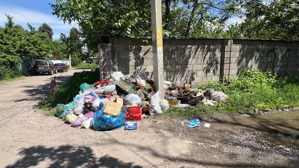 Хозсубъекты в Бишкеке оштрафовали на 308 тысяч сомов за нарушение благоустройства – и это только за один день изображение публикации