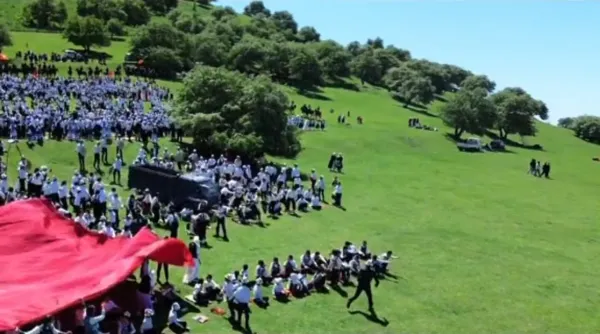 После инцидента с наездом на детей в Сузакском районе уволят шесть должностных лиц изображение публикации