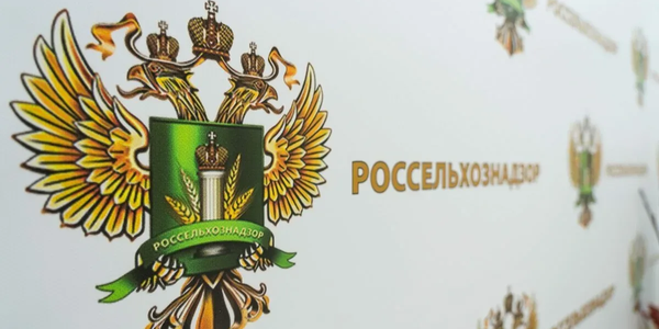 Россельхознадзор пресек вывоз почти 500 голов скота в КР, Таджикистан и Узбекистан.