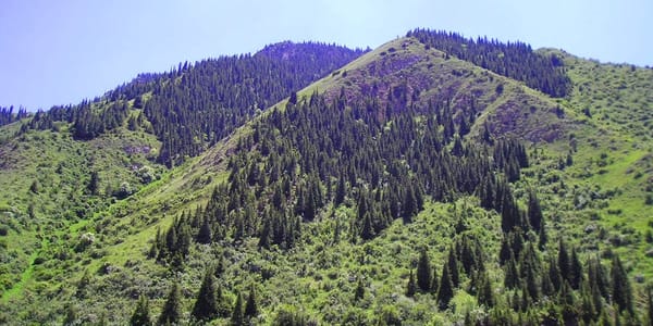 Природный парк «Салкын-Тор» передали Управделами президента Кыргызстана изображение публикации
