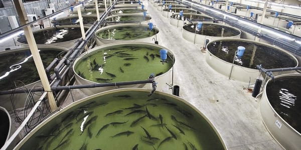 Минсельхоз проведет обучающие семинары для рыболовных предприятий изображение публикации