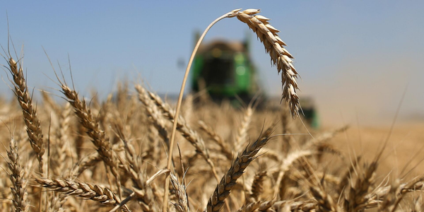 ФСХ-13: Льготные кредиты на 4.07 млрд сомов получили 6 476 сельхозпроизводителей изображение публикации