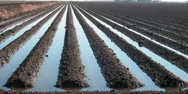 Минсельхоз анонсировал модернизацию агросектора и расширение орошаемых земель изображение публикации